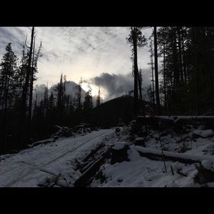 Meet your Posher, Abigail